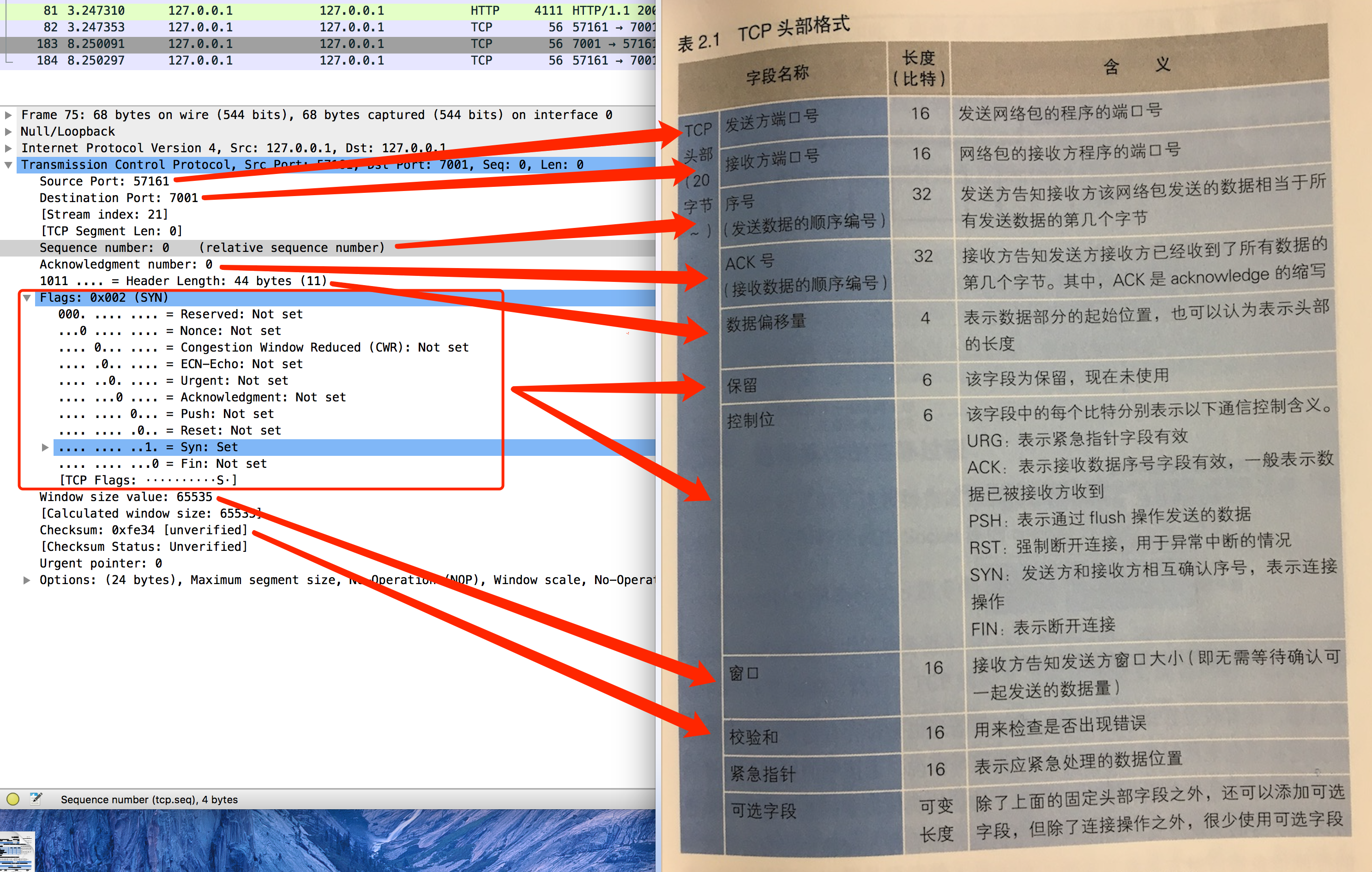 TCP头部格式